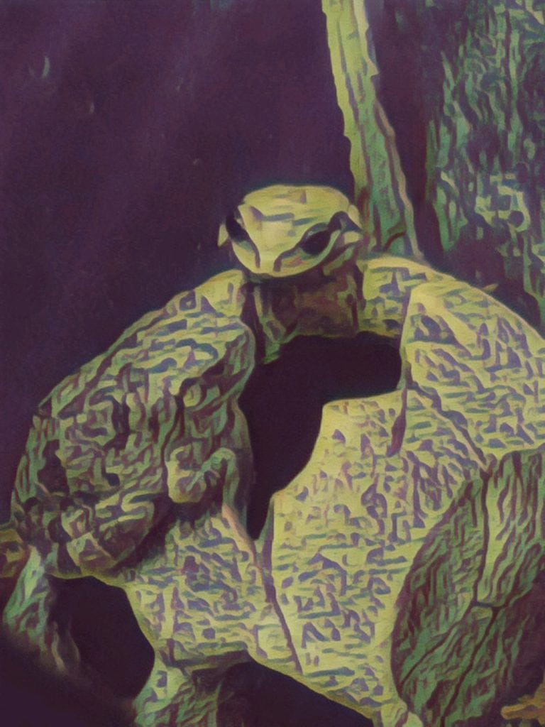 Colorful painting of a frog on a leaf